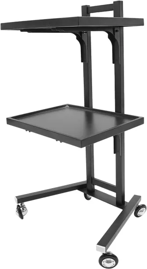 2 Tier Metal Rolling Cart, 34.3 Inch Salon Tray on Wheels, Folding Salon Tray Trolley