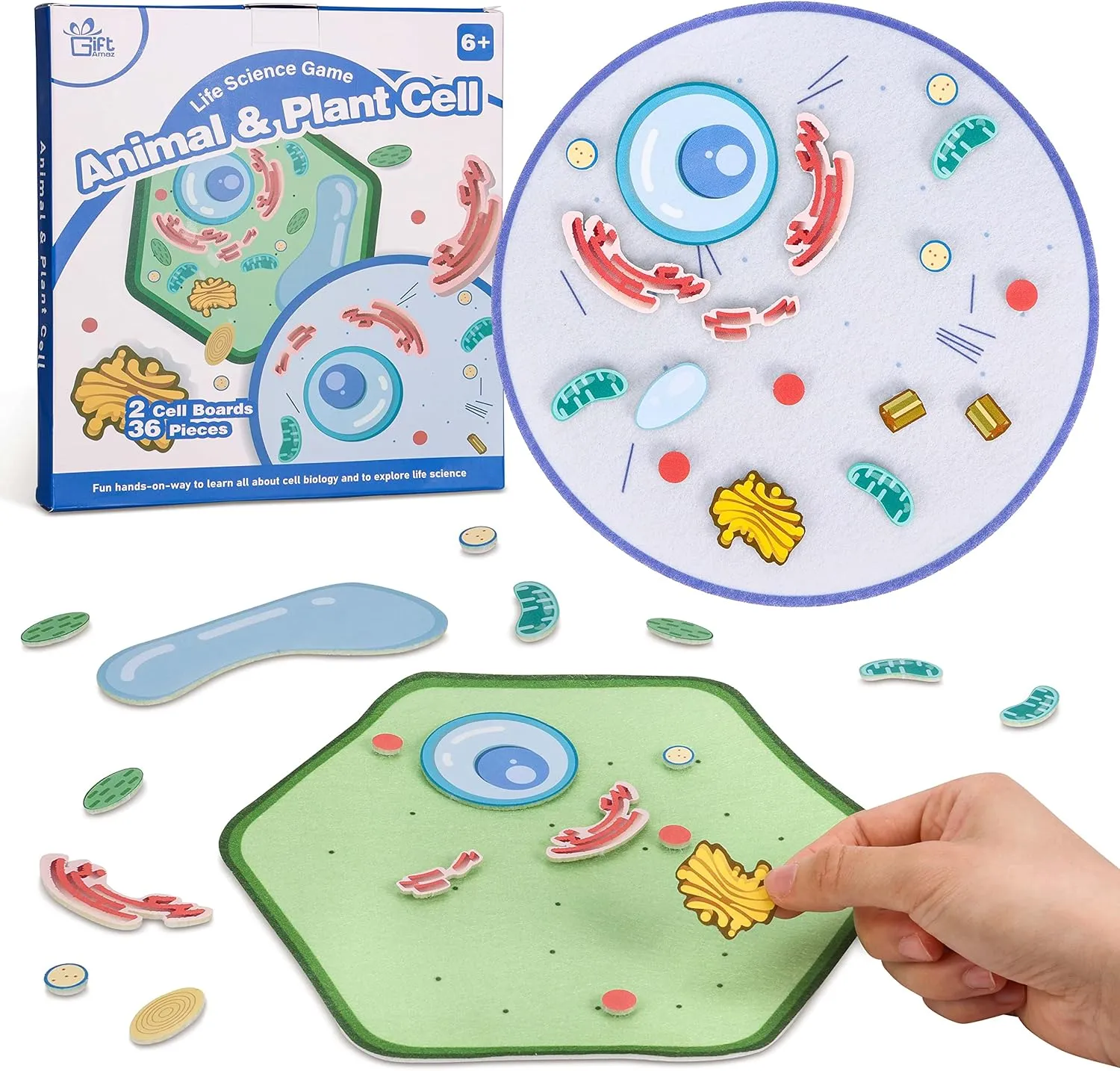 Animal and Plant Cell Anatomy Model, Soft Felt Toy, Early Cell Biology and Life Science STEM Toys, Classroom Teaching Aid, Educational Learning Activities STEM Birthday Toys for Kids 6 