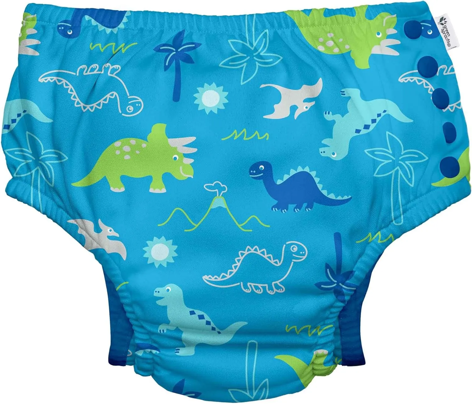Boys' Snap Reusable Absorbent Swimsuit Diaper, Aqua Dinosaurs, 4T