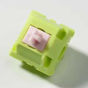 Chilkey Sprout Green Tactile Switches, 5 Pin Pre-Lubed Keyboard Switches with POM Housing UPE Stem for Mechanical Gaming Keyboard (35pcs)