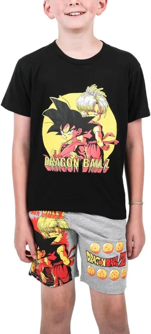 Dragon Ball Z Anime Heroes Boy's Graphic Tee and Shorts Set