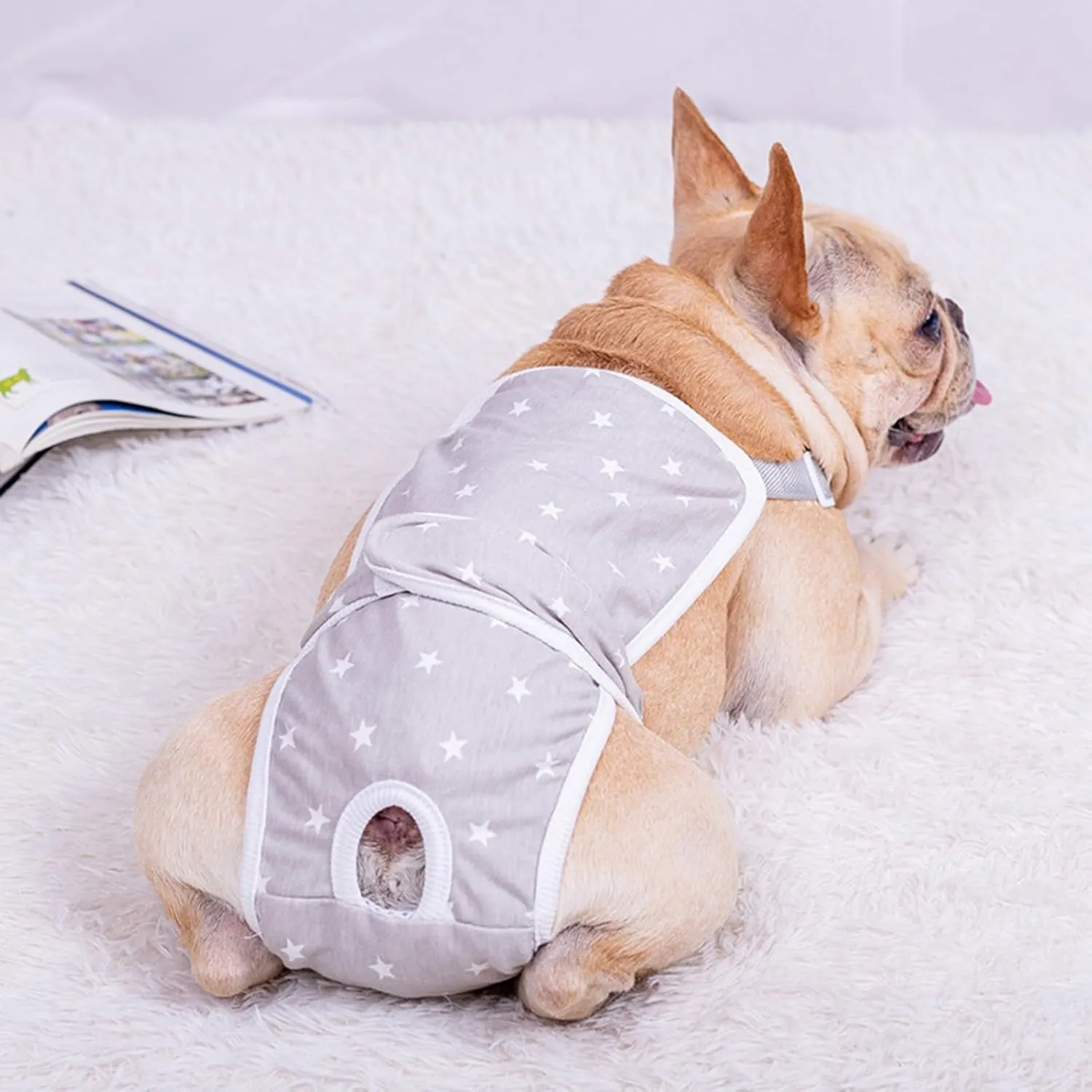 French Bulldog Shorts Diaper Pants Fashionable and Functional