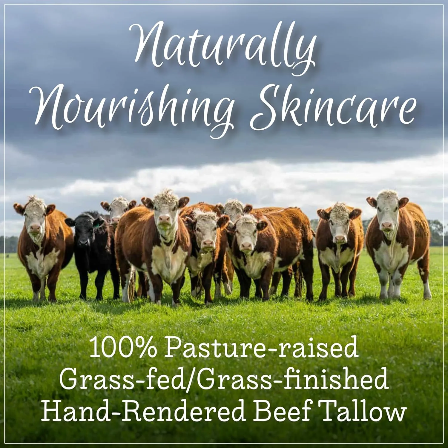 Handmade Whipped Tallow Balm, 100% Grass-fed Beef Tallow for Skin w/Organic Jojoba Oil, Natural Tallow Face Moisturizer, Relief For Dry Skin, Diaper Rash - 2 oz (Orange & Vanilla)