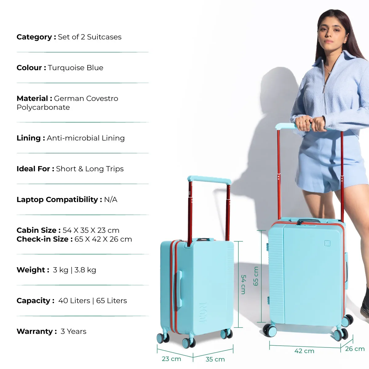 ICON Signature Suitcase (Set of 2)