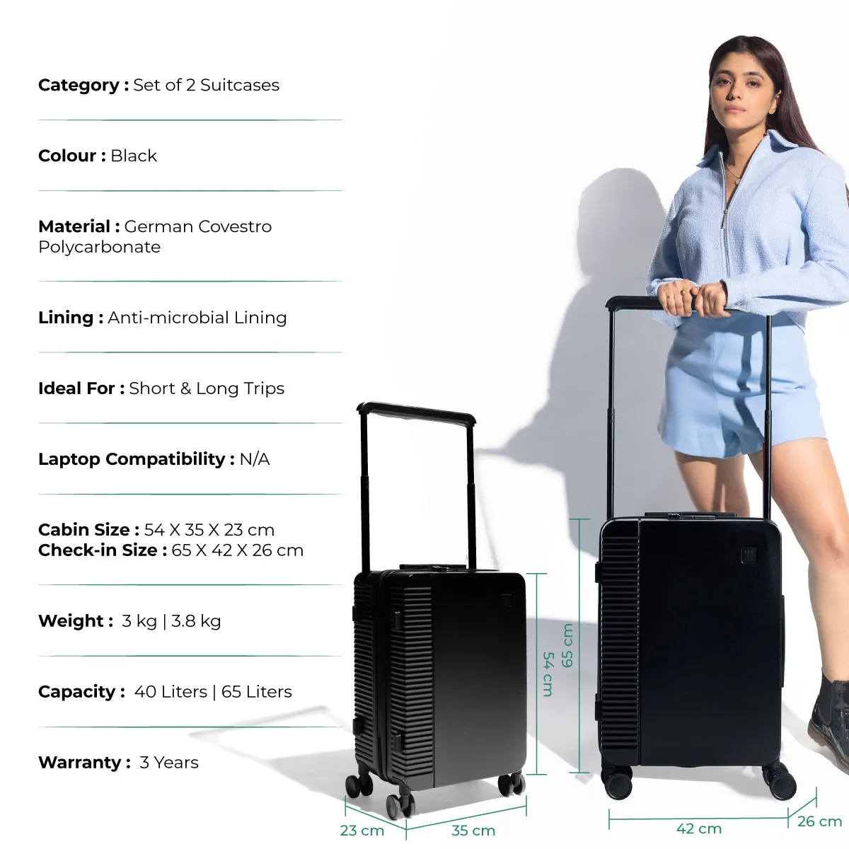 ICON Signature Suitcase (Set of 2)