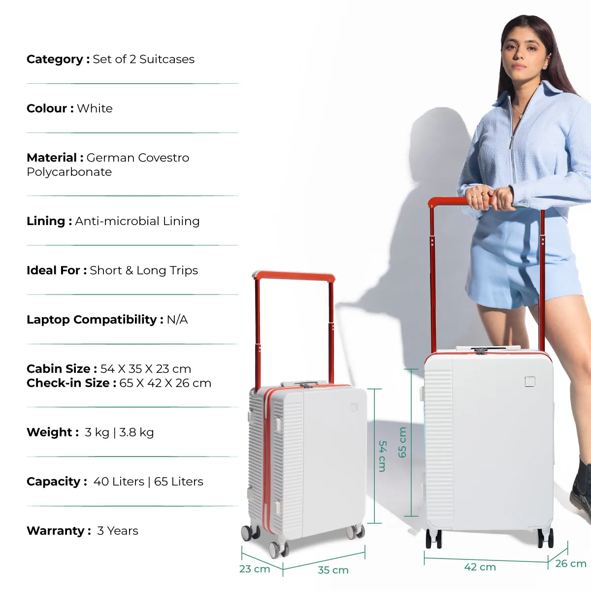 ICON Signature Suitcase (Set of 2)