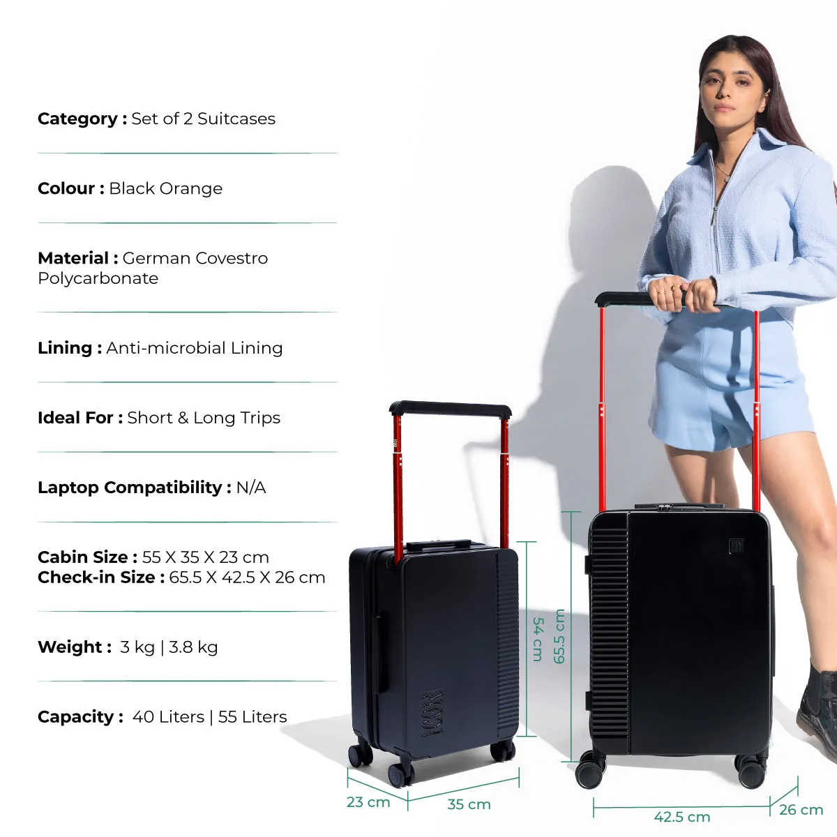 ICON Signature Suitcase (Set of 2)