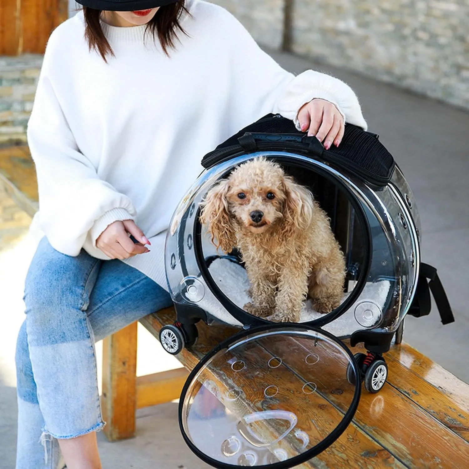 Pet Trolley Case with Ventilation Holes, Pet Carrier,Pet Rolling Carrier,Clear Window Pet Trolley Case,Pet Strollers for Small Dogs,Cat Carrier with Silent Wheels Telescopic for Travel Black
