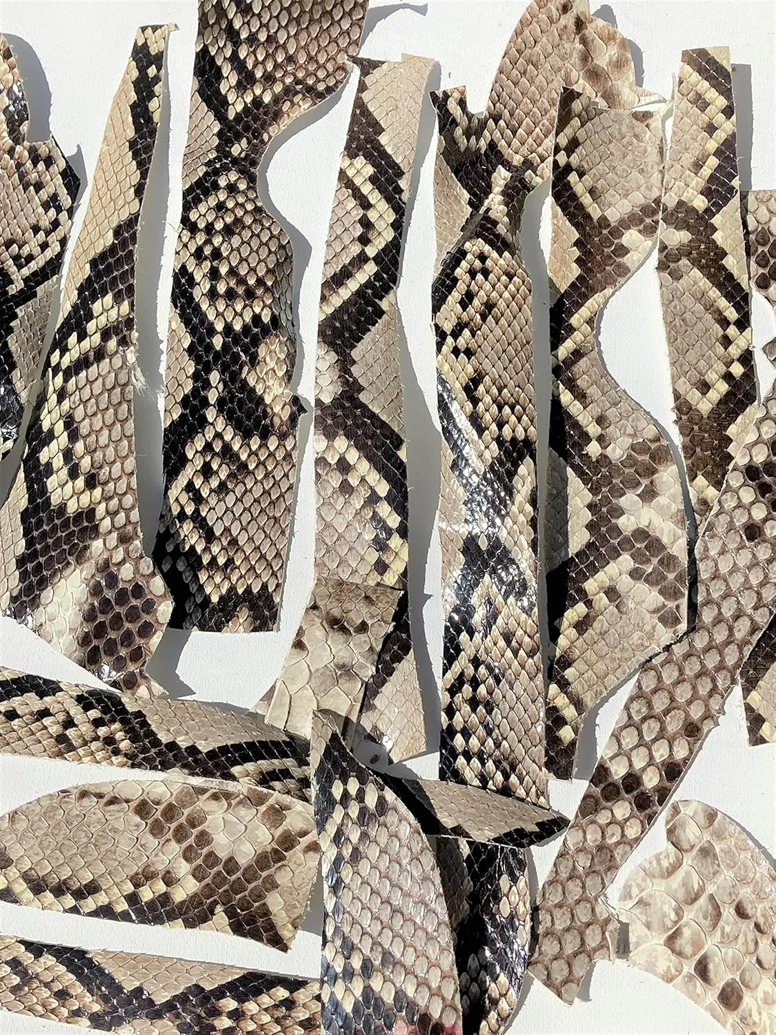 Python Snake Pieces and Strips, Genuine Skins, Black and White Patterns, 2 Square Feet