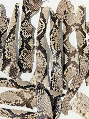 Python Snake Pieces and Strips, Genuine Skins, Black and White Patterns, 2 Square Feet